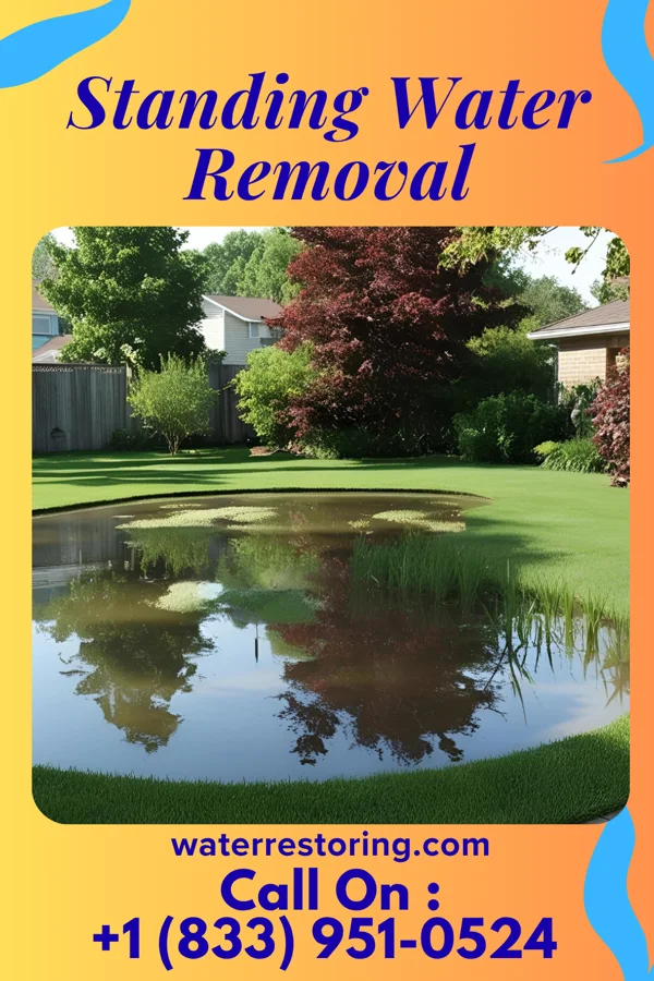 Standing Water Removal in Lake Buena Vista, FL